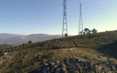 País Positivo – ECOREDE: É a energia que nos move todos os dias